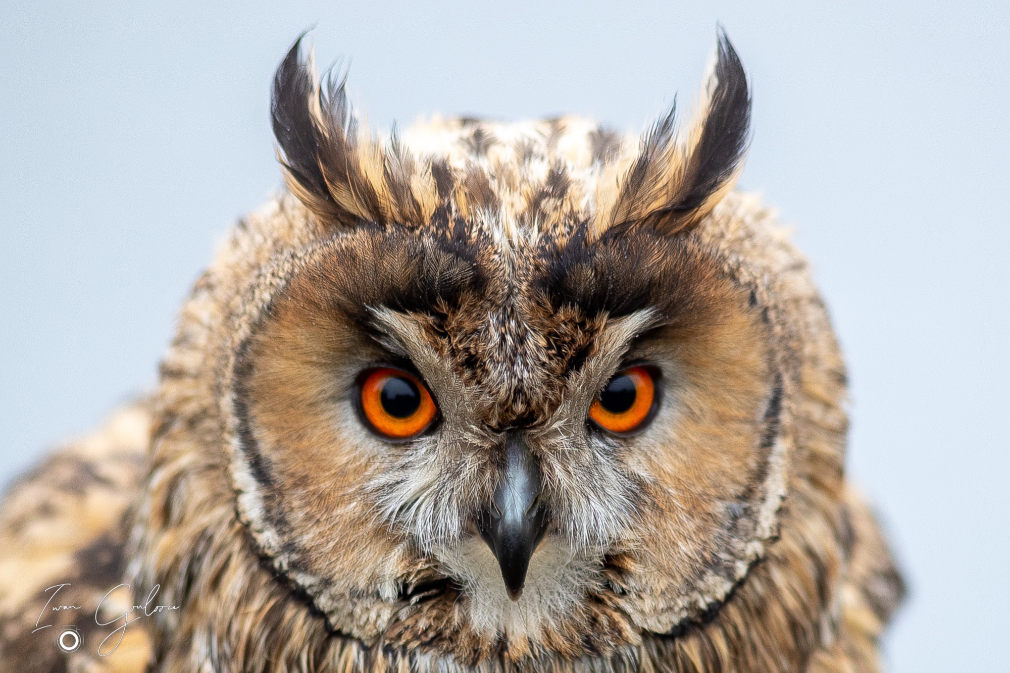 1DX46385 12 december 2021 1325 49